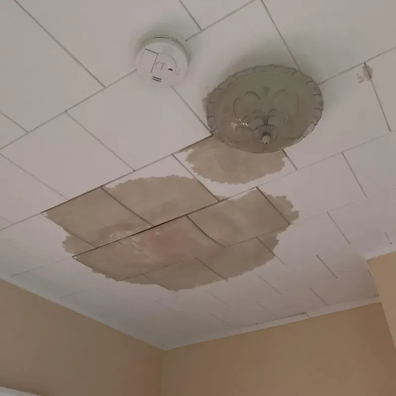 Ceiling Water Damage Repair in Lakeland, MN